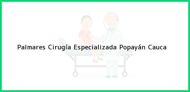 Teléfono, Dirección y otros datos de contacto para Palmares Cirugía Especializada, Popayán, Cauca, Colombia