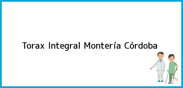 Teléfono, Dirección y otros datos de contacto para Torax Integral, Montería, Córdoba, Colombia
