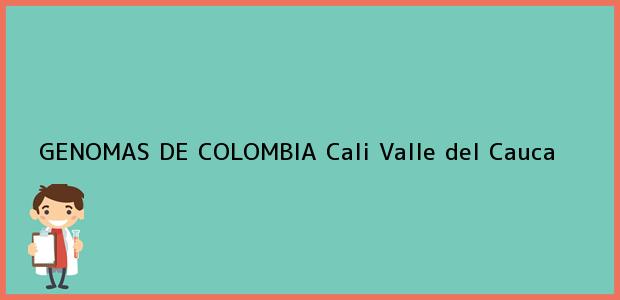 Teléfono, Dirección y otros datos de contacto para GENOMAS DE COLOMBIA, Cali, Valle del Cauca, Colombia