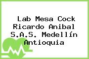 Lab Mesa Cock Ricardo Anibal S.A.S. Medellín Antioquia
