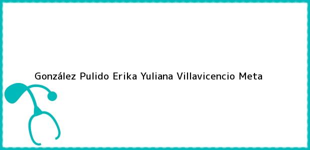 Teléfono, Dirección y otros datos de contacto para González Pulido Erika Yuliana, Villavicencio, Meta, Colombia
