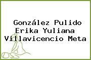 González Pulido Erika Yuliana Villavicencio Meta