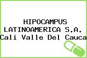 HIPOCAMPUS LATINOAMERICA S.A. Cali Valle Del Cauca
