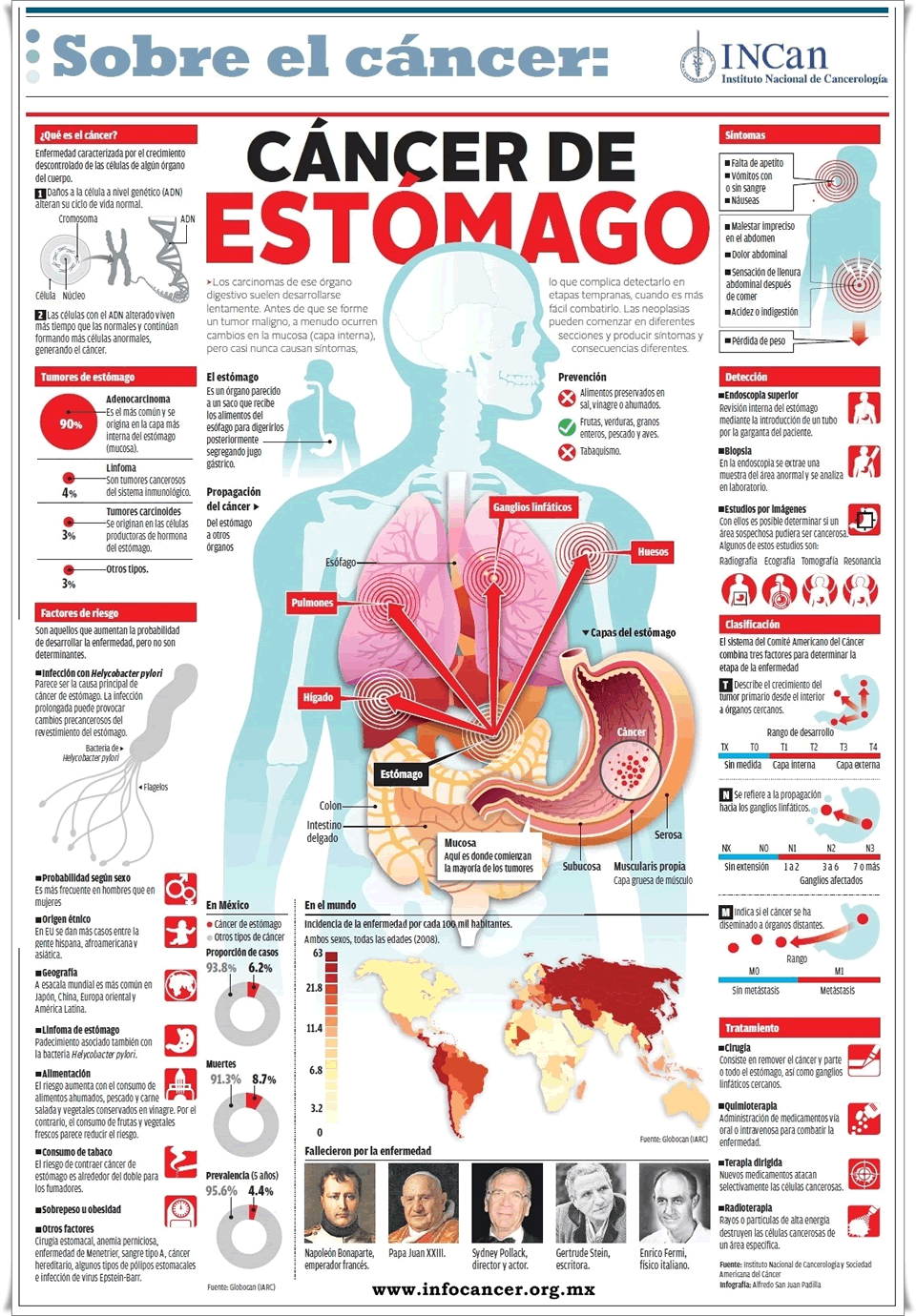 infografía del cáncer de estómago