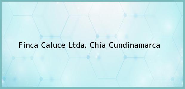 Teléfono, Dirección y otros datos de contacto para Finca Caluce Ltda., Chía, Cundinamarca, Colombia