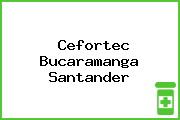 Cefortec Bucaramanga Santander