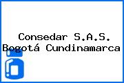 Consedar S.A.S. Bogotá Cundinamarca