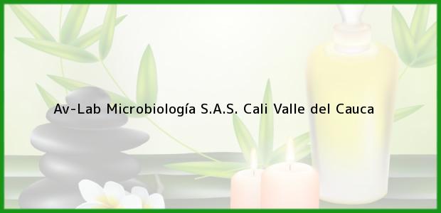 Teléfono, Dirección y otros datos de contacto para Av-Lab Microbiología S.A.S., Cali, Valle del Cauca, Colombia