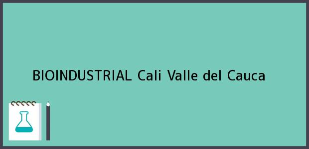 Teléfono, Dirección y otros datos de contacto para BIOINDUSTRIAL, Cali, Valle del Cauca, Colombia