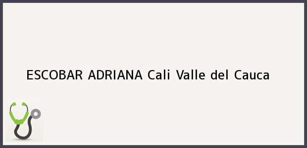 Teléfono, Dirección y otros datos de contacto para ESCOBAR ADRIANA, Cali, Valle del Cauca, Colombia