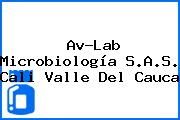 Av-Lab Microbiología S.A.S. Cali Valle Del Cauca