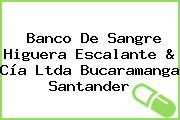 Banco De Sangre Higuera Escalante & Cía Ltda Bucaramanga Santander