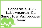 Ver cepciac sas laboratorio de genetica valledupar cesar Cepciac S.A.S Laboratorio De Genetica Valledupar Cesar