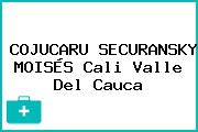 COJUCARU SECURANSKY MOISÉS Cali Valle Del Cauca
