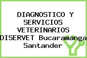 DIAGNOSTICO Y SERVICIOS VETERINARIOS DISERVET Bucaramanga Santander