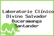 Laboratorio Clínico Divino Salvador Bucaramanga Santander