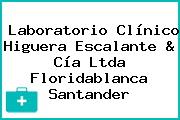Laboratorio Clínico Higuera Escalante & Cía Ltda Floridablanca Santander