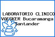 LABORATORIO CLINICO VAESKER Bucaramanga Santander