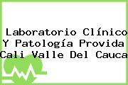 Laboratorio Clínico Y Patología Provida Cali Valle Del Cauca