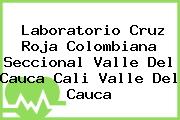 Laboratorio Cruz Roja Colombiana Seccional Valle Del Cauca Cali Valle Del Cauca