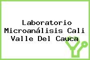 Laboratorio Microanálisis Cali Valle Del Cauca