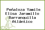 Peñaloza Yamile Elisa Jaramillo Barranquilla Atlántico