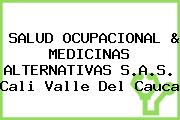 SALUD OCUPACIONAL & MEDICINAS ALTERNATIVAS S.A.S. Cali Valle Del Cauca