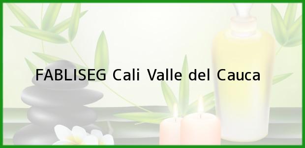 Teléfono, Dirección y otros datos de contacto para FABLISEG, Cali, Valle del Cauca, Colombia
