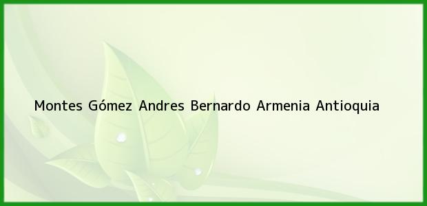 Teléfono, Dirección y otros datos de contacto para Montes Gómez Andres Bernardo, Armenia, Antioquia, Colombia