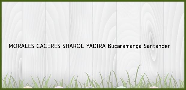Teléfono, Dirección y otros datos de contacto para MORALES CACERES SHAROL YADIRA, Bucaramanga, Santander, Colombia