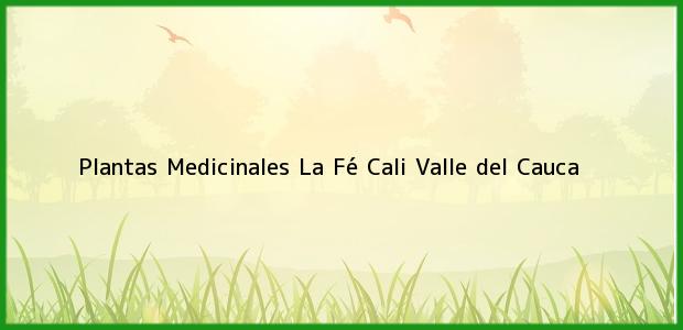 Teléfono, Dirección y otros datos de contacto para Plantas Medicinales La Fé, Cali, Valle del Cauca, Colombia