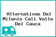 Alternativas Del Milenio Cali Valle Del Cauca