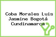 Coba Morales Luis Jasmine Bogotá Cundinamarca