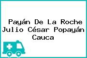 Payán De La Roche Julio César Popayán Cauca