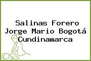 Salinas Forero Jorge Mario Bogotá Cundinamarca